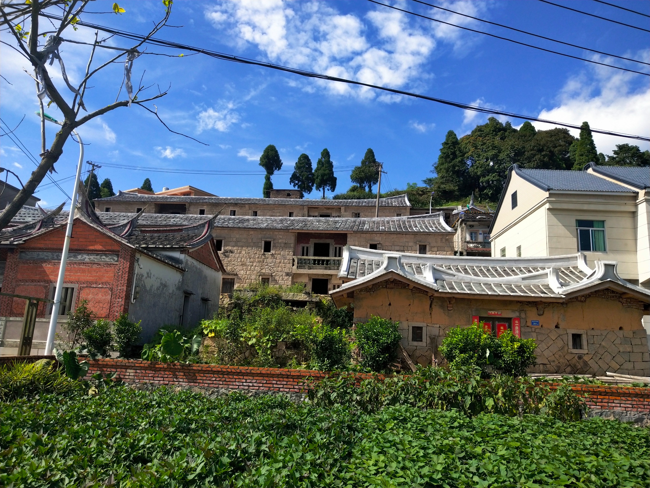 军营村高山初心产业运营接待服务中心 预约电话15395921332
