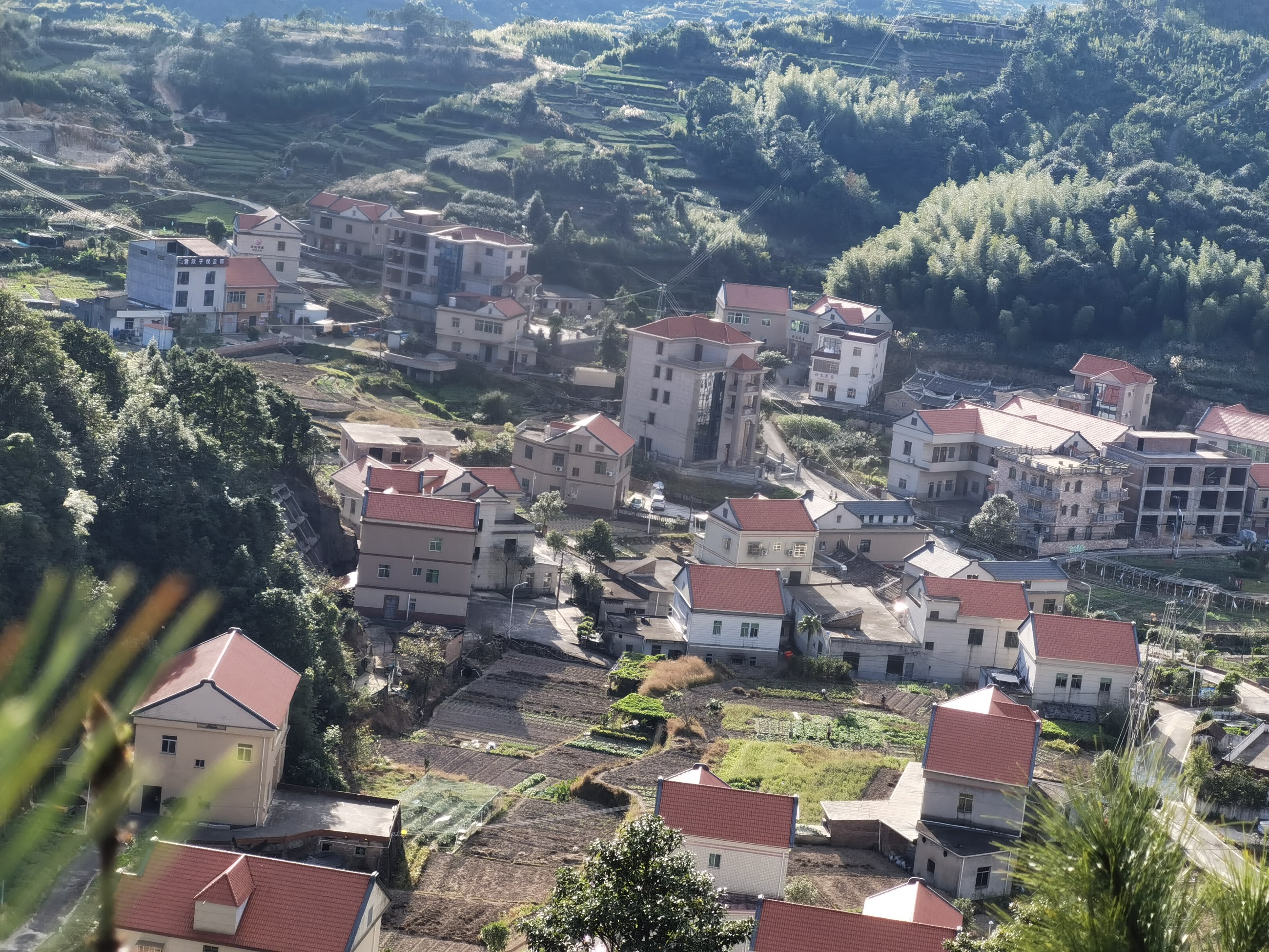 军营村高山初心产业运营接待服务中心 预约电话15395921332 军营村高山初心产业运营接待服务中心 预约电话15395921332