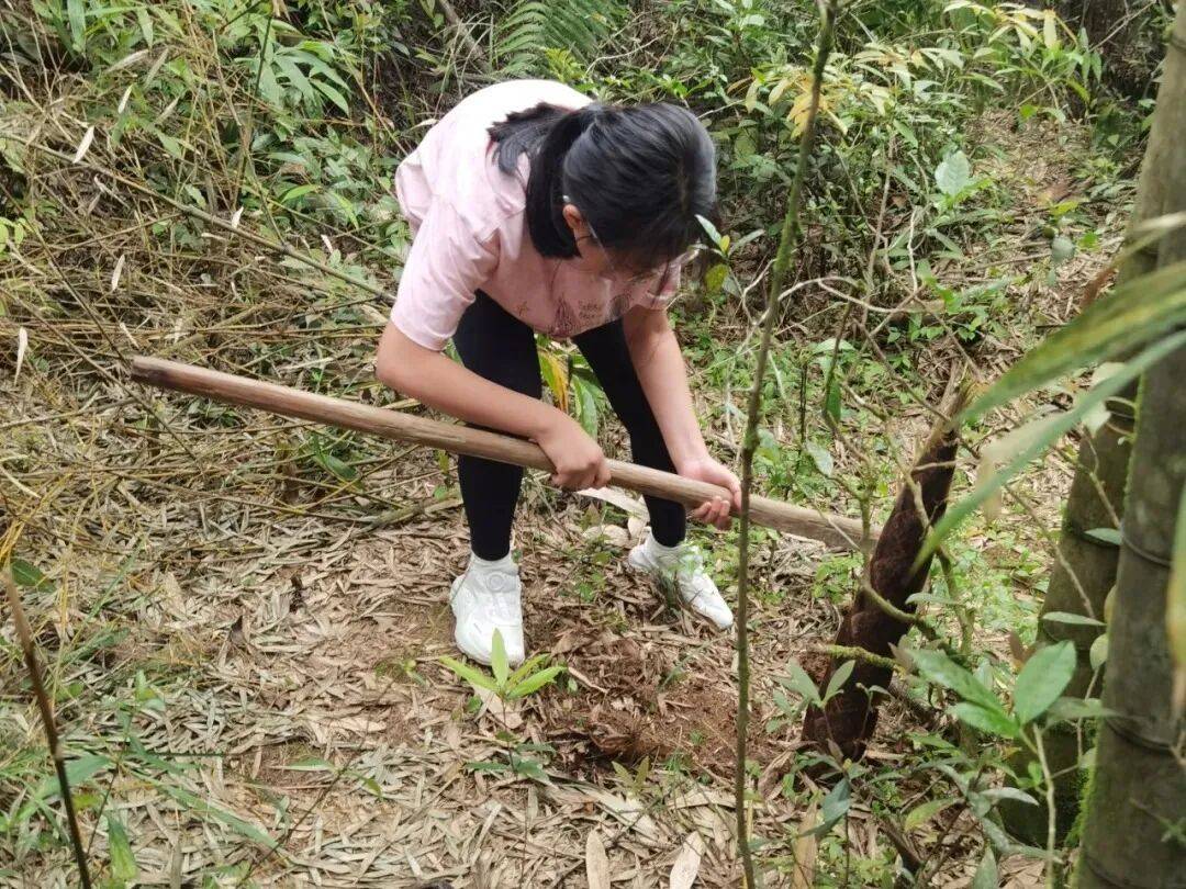 军营村高山初心产业运营接待服务中心 预约电话15395921332 军营村高山初心产业运营接待服务中心 预约电话15395921332