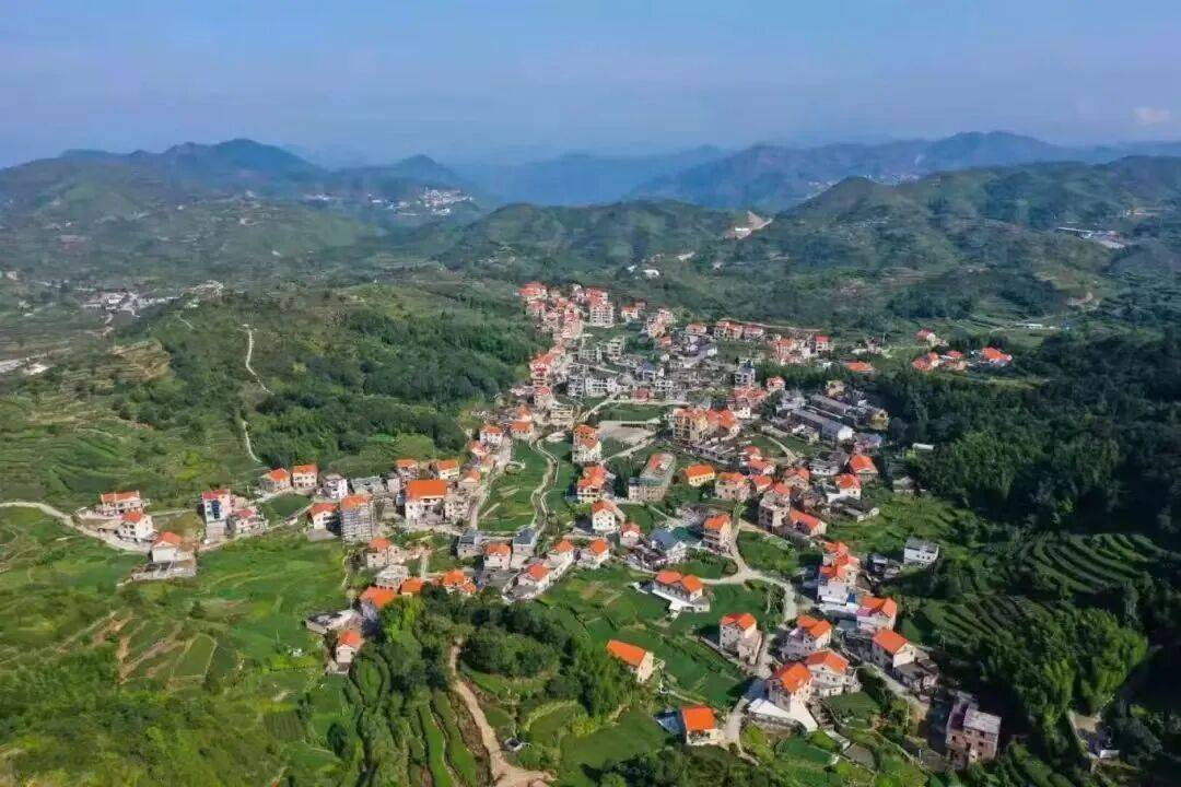 军营村高山初心产业运营接待服务中心 预约电话15395921332 军营村高山初心产业运营接待服务中心 预约电话15395921332